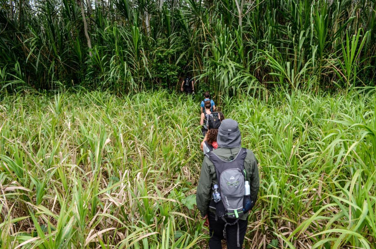 Green Diamond Amazon Lodge Πουέρτο Μαλντονάντο Εξωτερικό φωτογραφία